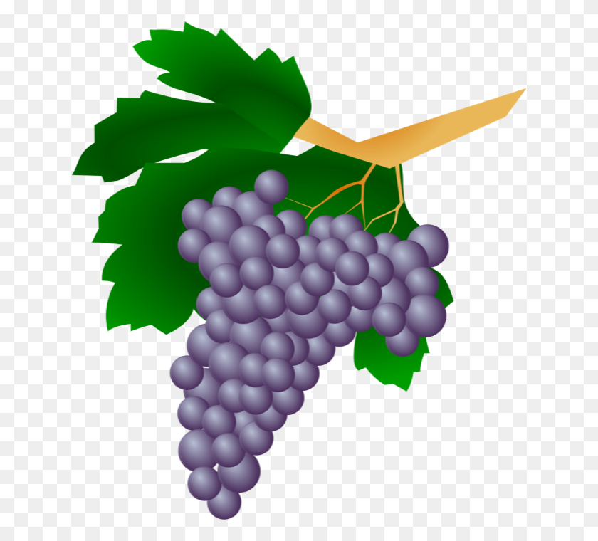 638x700 Grapes Vine Clipart Grape With Leaf Clip Art Id Image Clipartix - Vine Clipart