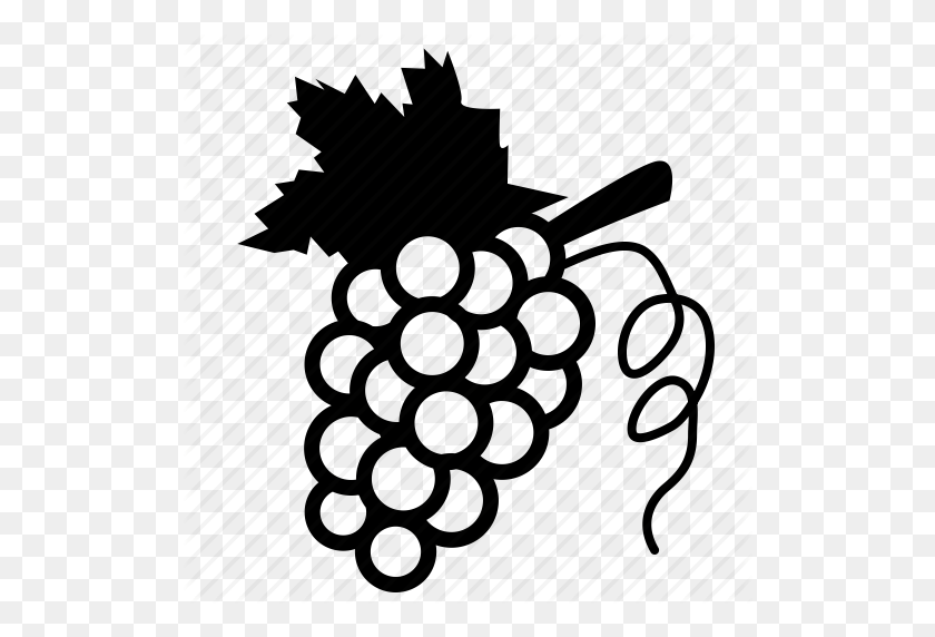 512x512 Grapes, Wine Icon - Grape Vine PNG