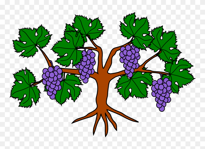 1280x905 Grapevine - Grape Vine PNG