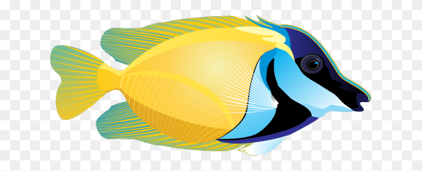 639x281 Графический Дизайн Рыбки Картинки Рыбы, Рыбки Клипарт - Морские Рыбы Клипарт