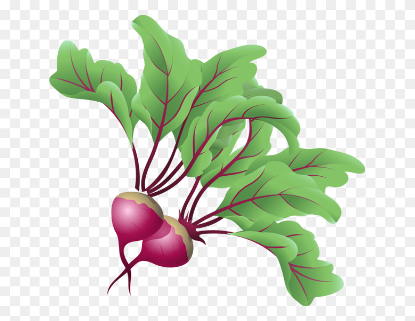 639x590 Graphic Design Vegetables Clip Art And Tutorials - Beet Clipart