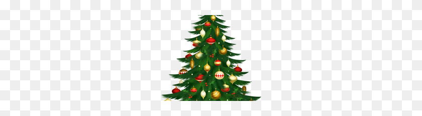 228x171 Graphic Png Vector, Clipart - Christmas Tree PNG Transparent