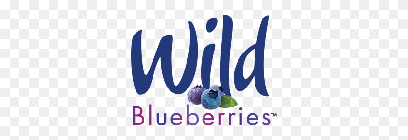 300x228 Graphic Resources Wild Blueberries Canada - Blueberries PNG