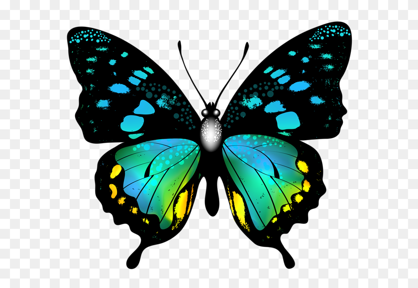 600x519 Графика Бабочка, Искусство - Настоящая Бабочка Png