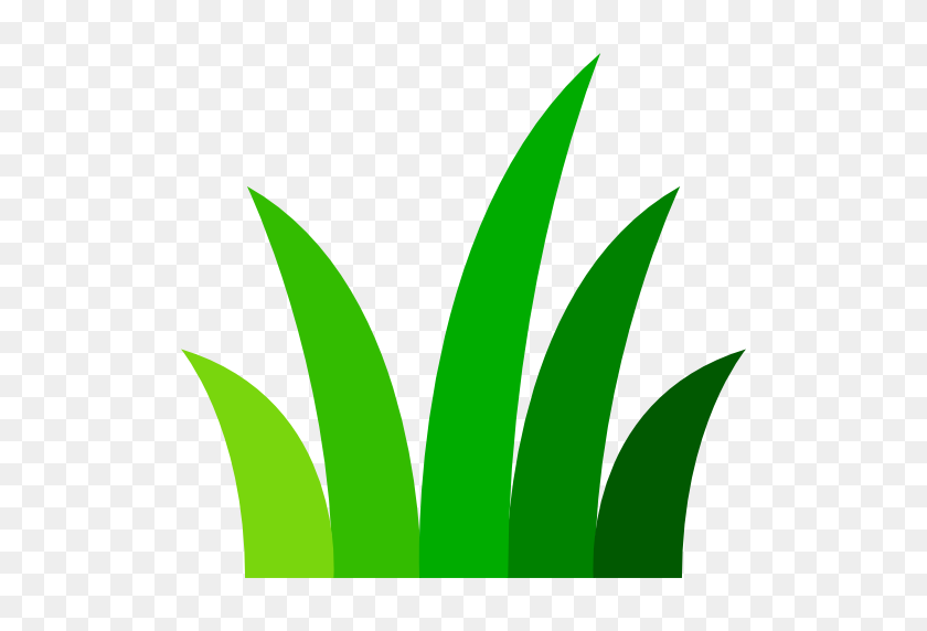 512x512 Grass - Pasto PNG
