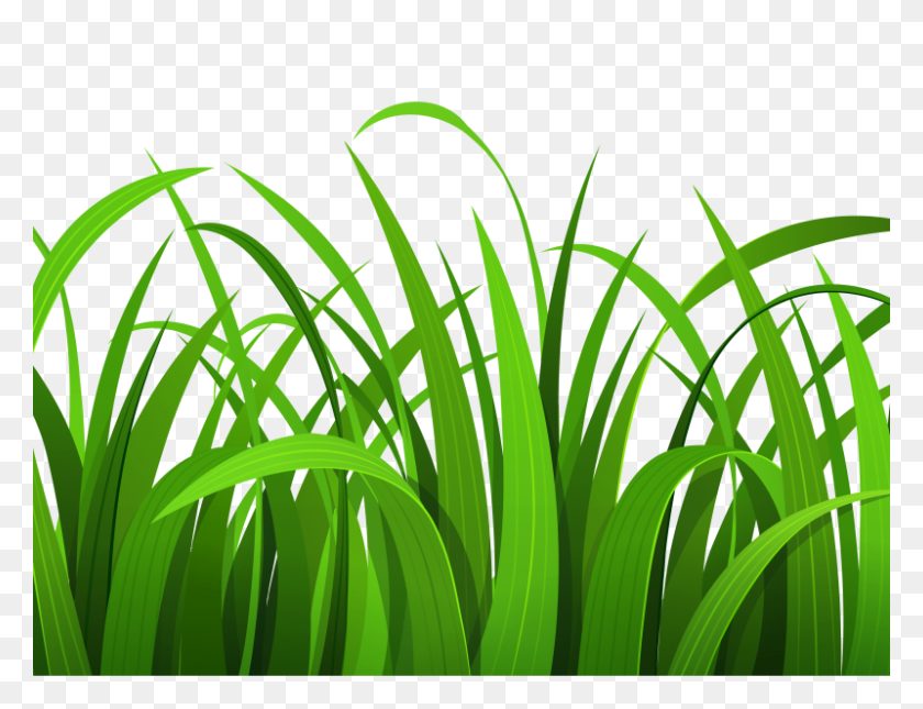 800x600 Grass And Flowers Clip Art Free Clipart Images Clipartcow - Flor Clipart