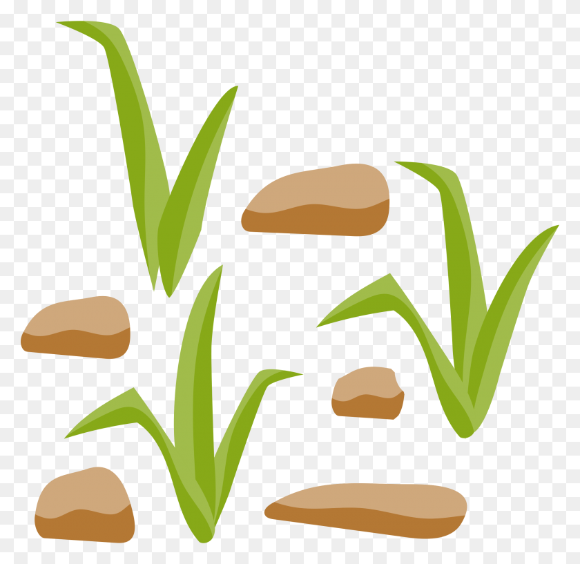 2400x2332 Grass And Rocks Vector Clipart Image - Patch Of Grass Clipart