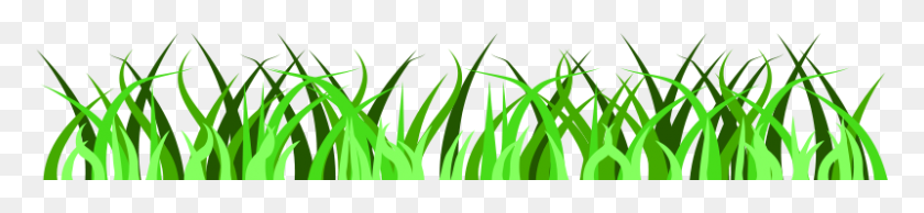 800x138 Grass Clipart Vector Libre En Dibujo De Oficina Abierta - Grassland Clipart