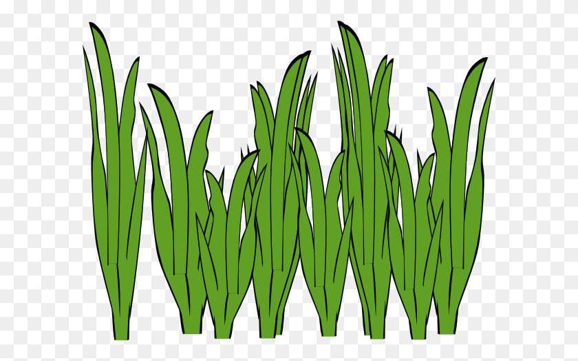 600x464 Grass Clipart Animated - Colorful Flowers Clipart