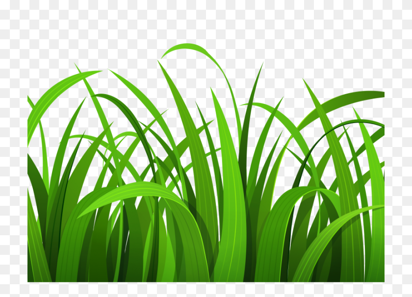 728x546 Grass Clipart Black And White Outline Archives - Grass Clipart Black And White
