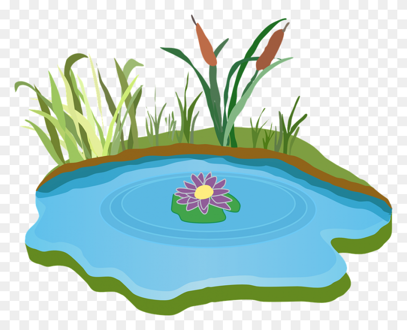 905x720 Grass Clipart Pond - Lily Pad Clipart Black And White