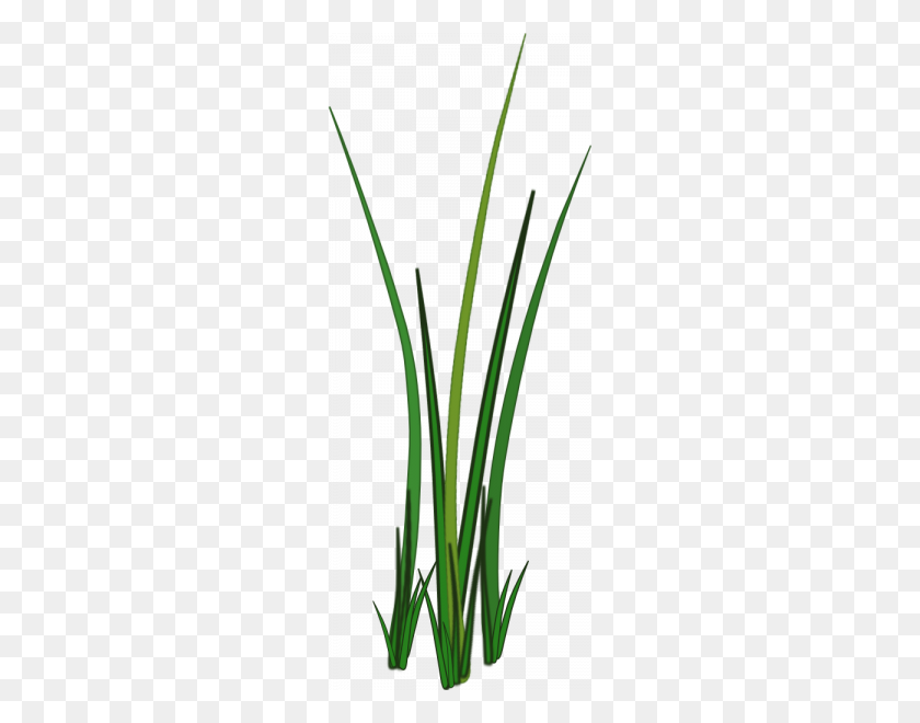 240x600 Grass For Tubes - Lemongrass PNG