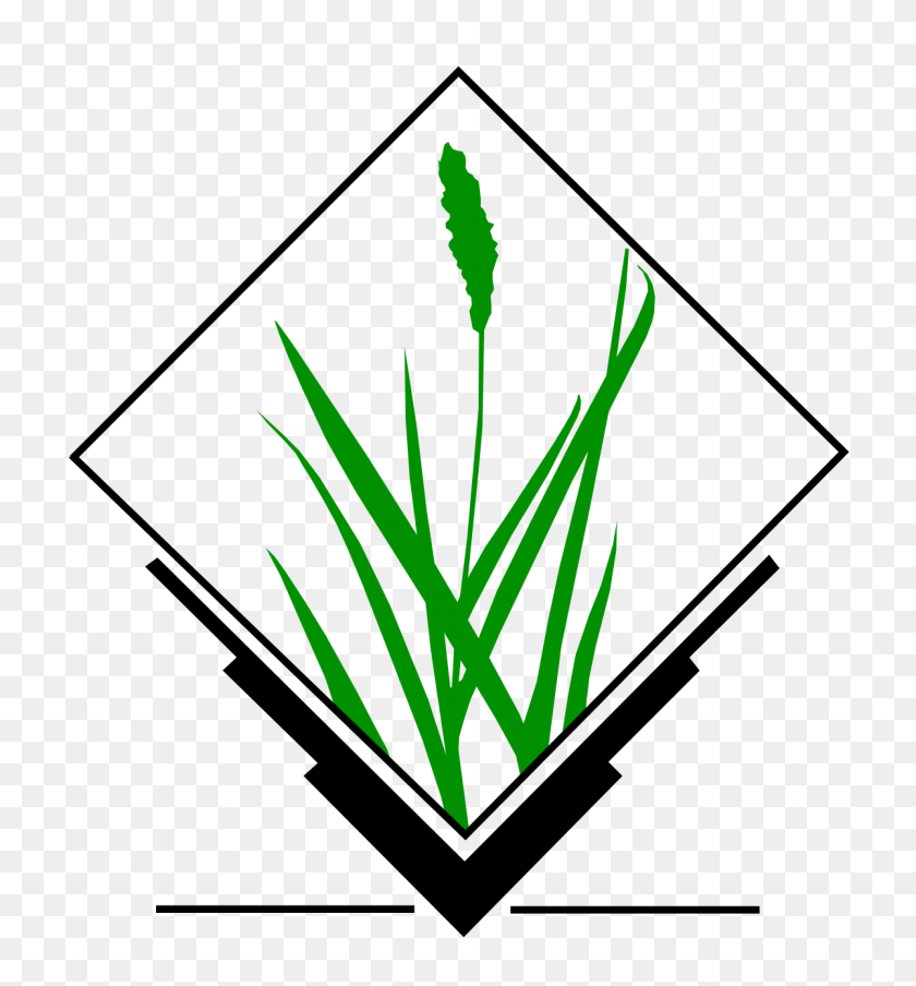 1200x1299 Grass Gis - Grass Vector PNG
