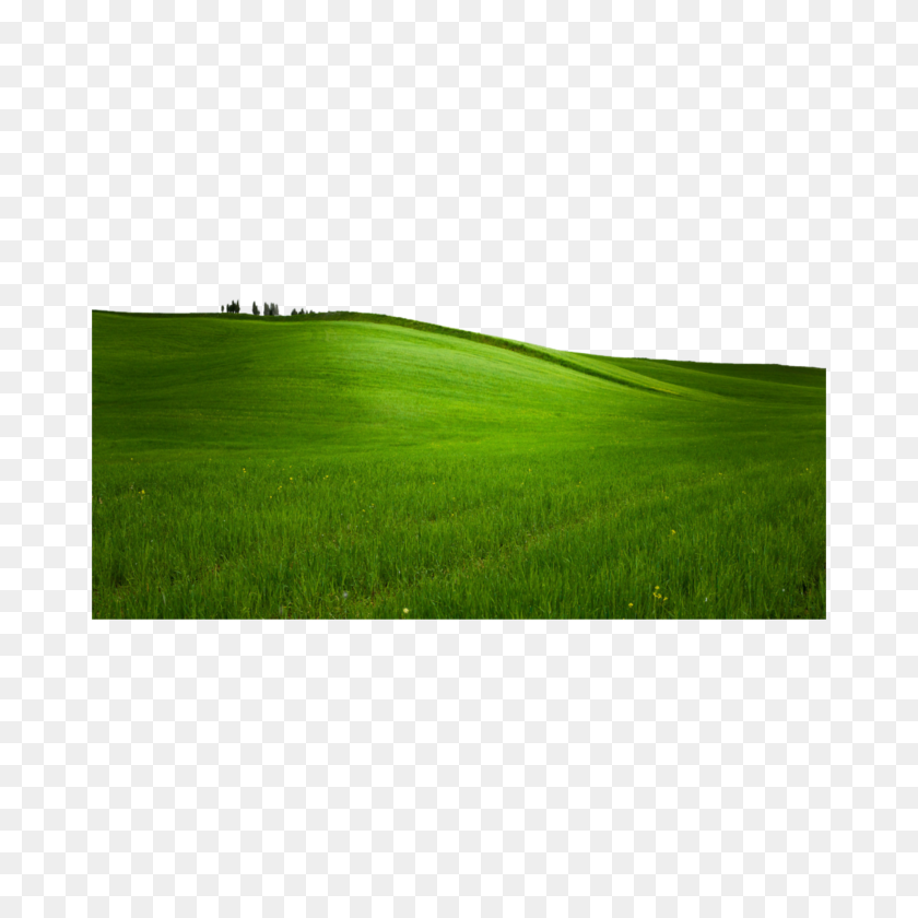1773x1773 Grass Hills Scenery Nature - Grass Field PNG