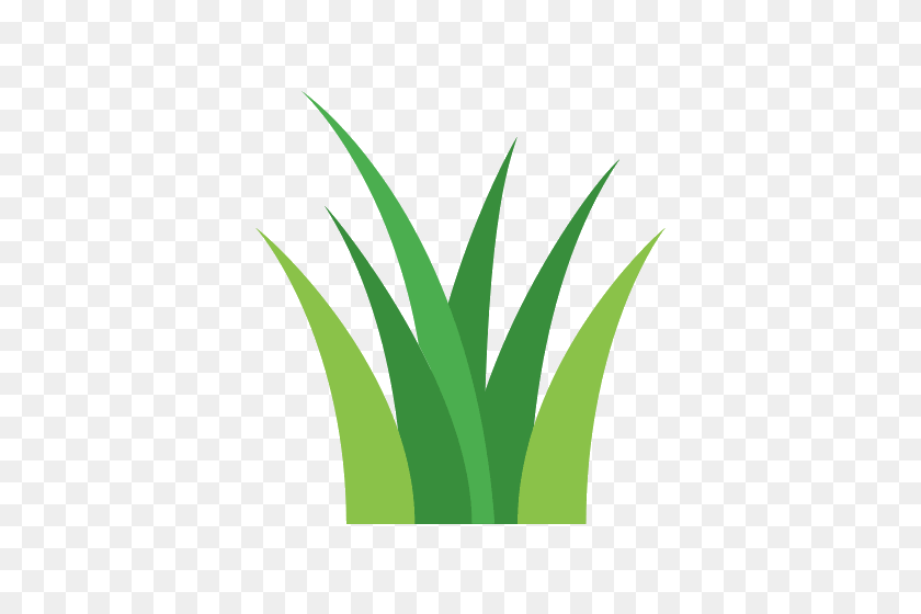 500x500 Grass Icons - Grass PNG Transparent