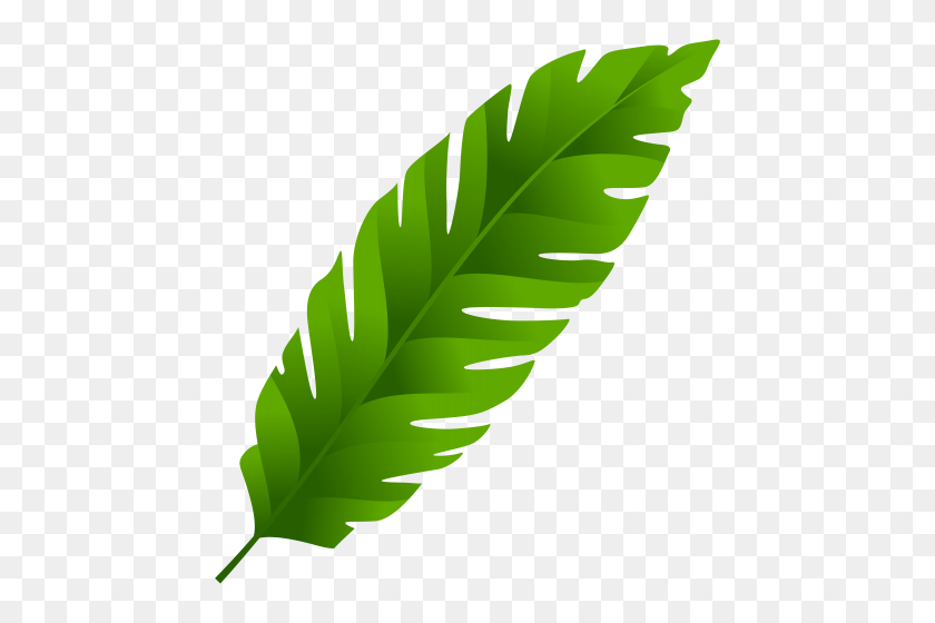 464x500 Grass Leaves Trees Leaves - Foliage Clipart