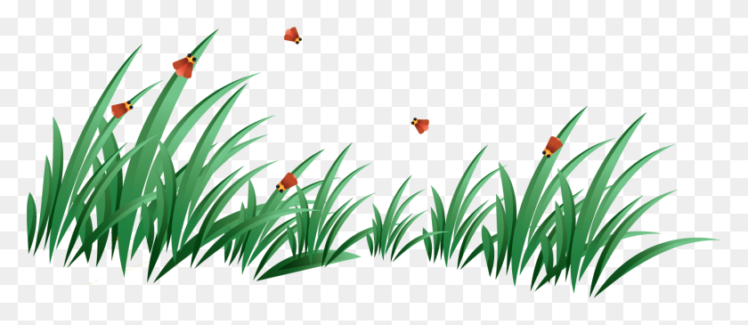 1404x550 Grass Png Image - Lawn PNG