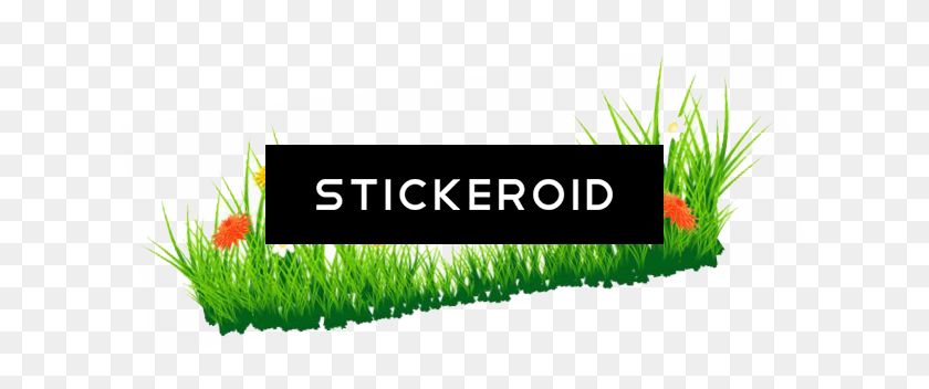 622x292 Grass Png Image, Green Grass Png Picture - Grass PNG