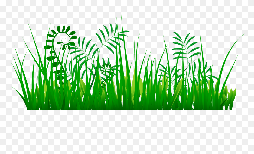 1679x971 Grass Png Images A Live Ornament Tool Png Only - Wild Grass PNG
