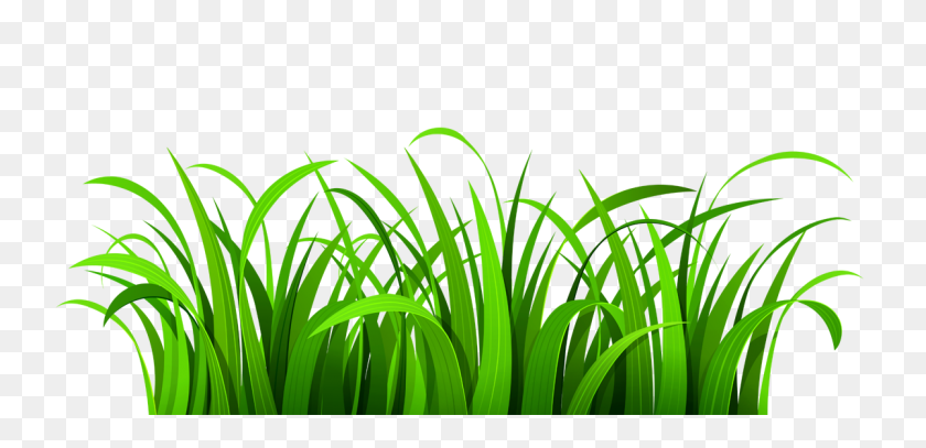 1200x534 Grass Png Images Free Download - Nature PNG