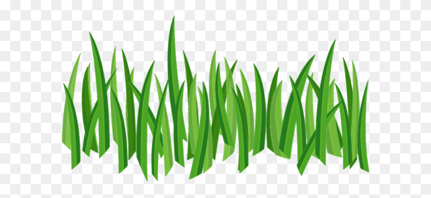 600x327 Grass Png Images, Pictures - Ornamental Grass PNG