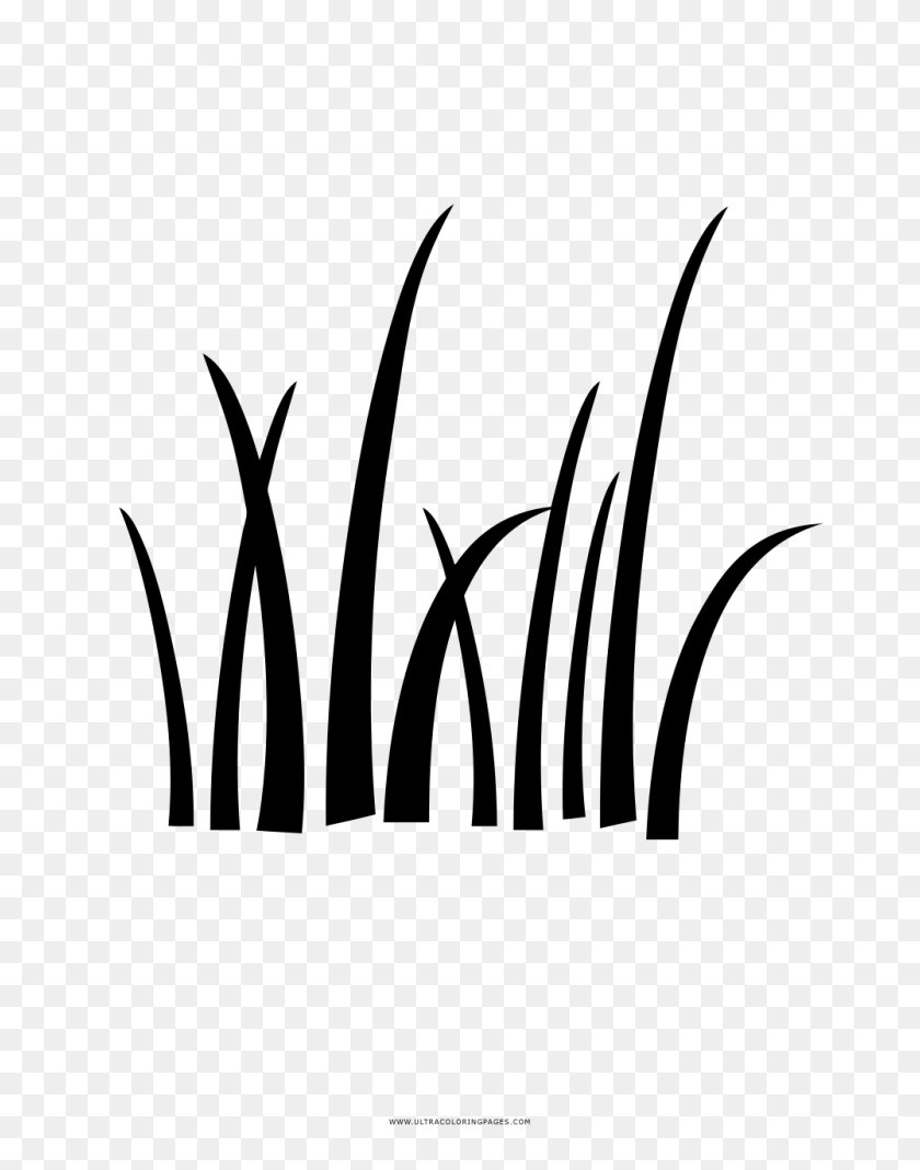 1000x1294 Grass Silhouette Png - Grass Silhouette PNG