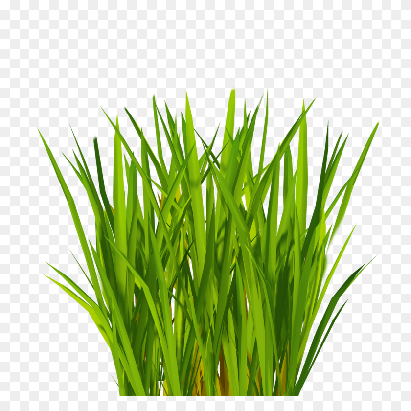 1200x1200 Grass Silhouette Png, Wicked Artificial Grass Artificial Grass - Grass PNG Transparent