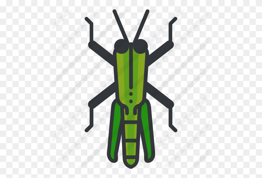 512x512 Grasshopper - Grasshopper PNG