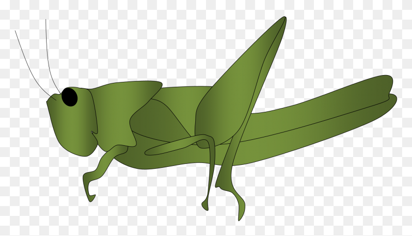 1860x1006 Grasshopper And Ant Clip Art All About Clipart - Toil Clipart
