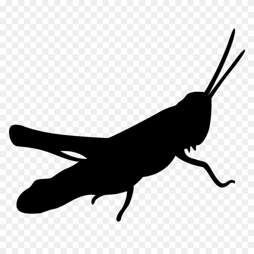 1200x1200 Saltamontes Clipart Silueta - Cricket Bug Clipart