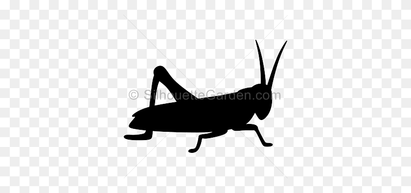 336x334 Grasshopper Clipart Silhouette - Cricket Insect Clipart