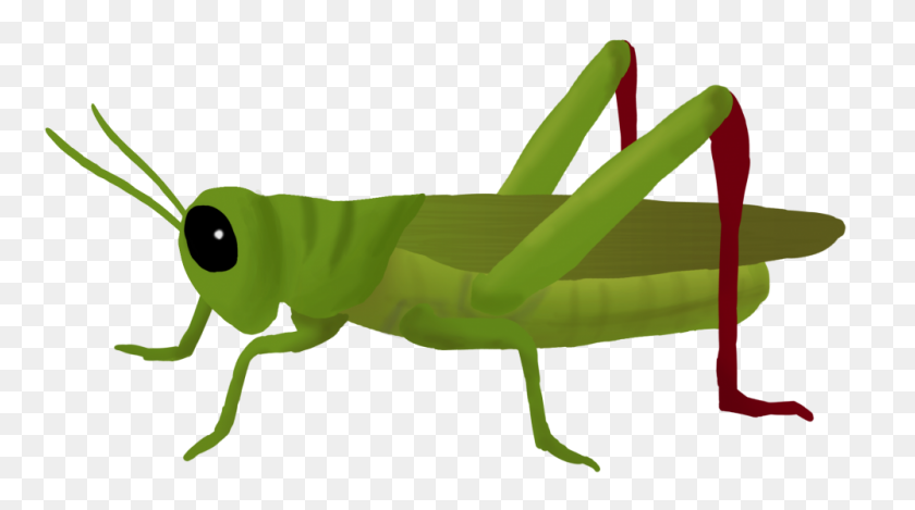 1000x525 Grasshopper Clipart Transparent - Cricket Bug Clipart