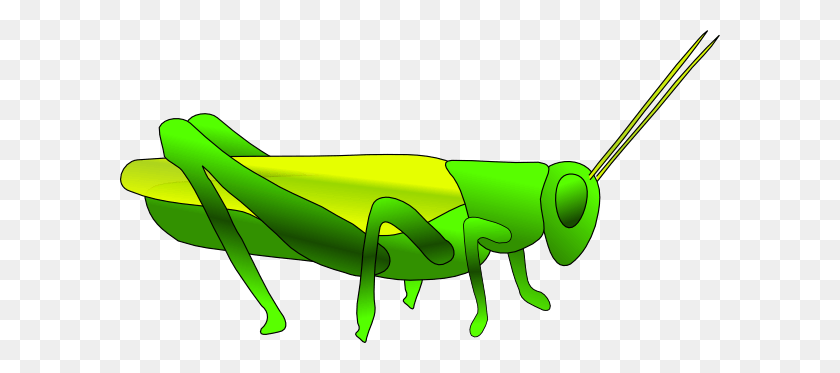 600x313 Grasshopper Cliparts - Cricket Insect Clipart