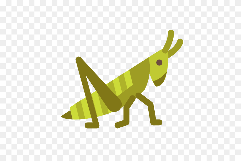 500x500 Grasshopper Icons - Grasshopper PNG