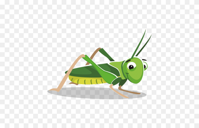 480x480 Grasshopper Png - Grasshopper Clipart
