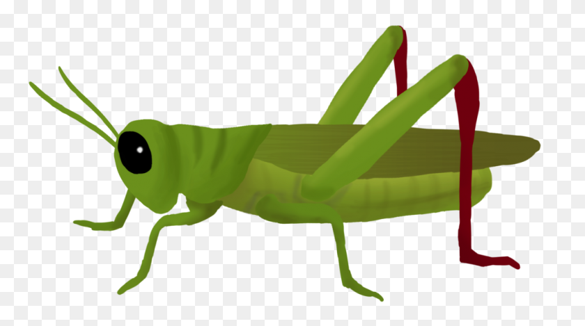 1024x538 Grasshopper Png Clipart Vector, Clipart - Grasshopper PNG