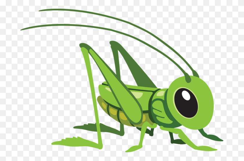 699x495 Grasshopper Png Images Free Download - Grasshopper Clipart
