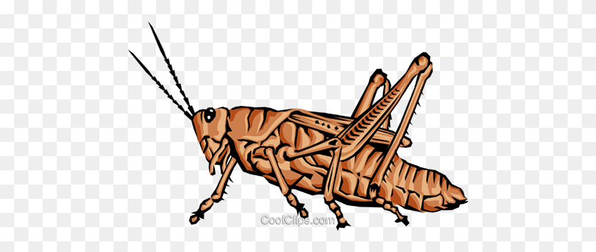 480x295 Grasshopper Royalty Free Vector Clip Art Illustration - Cricket Insect Clipart