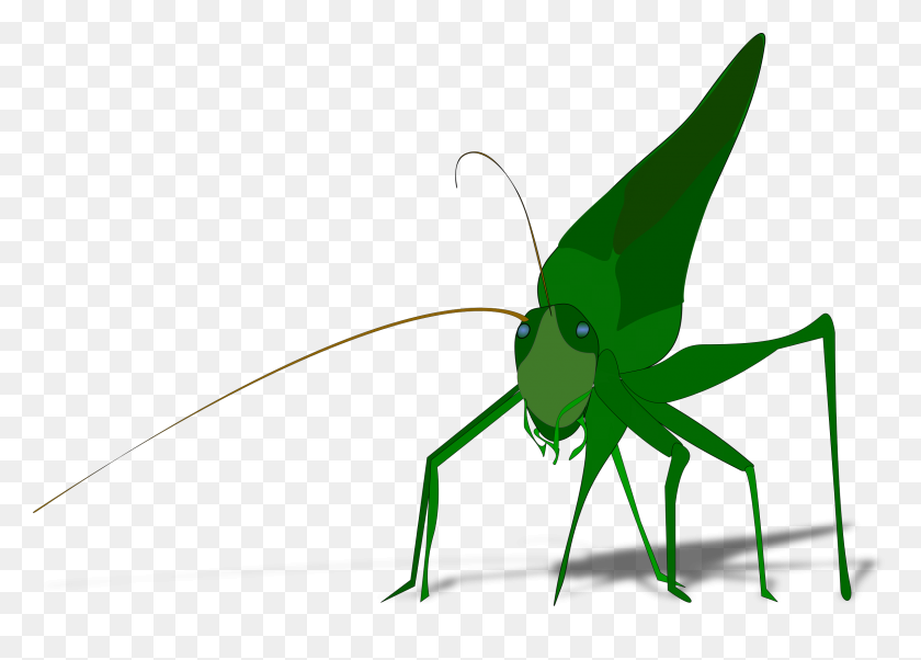 2400x1670 Grasshopper With Shadow Icons Png - Grasshopper PNG