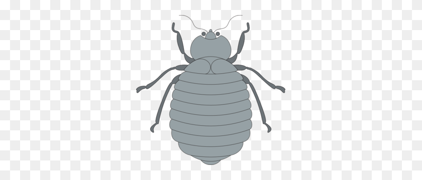 297x299 Gray Beetle Clip Art - Cicada Clipart
