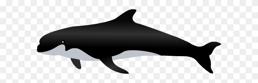 600x212 Серый Дельфин Png Клипарт Для Интернета - Изображения Дельфинов Клипарт