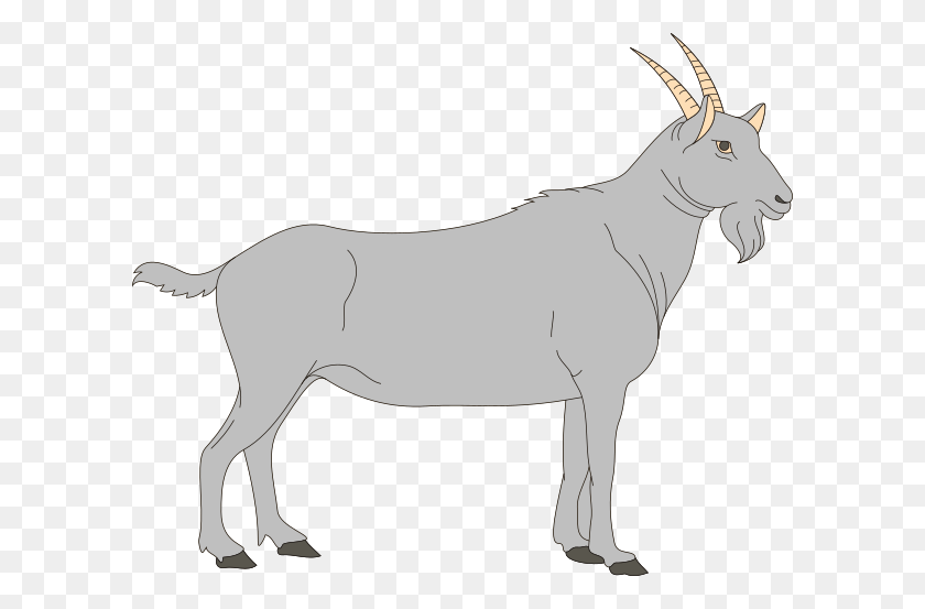 600x493 Gray Goat Clip Art - Mountain Goat Clipart
