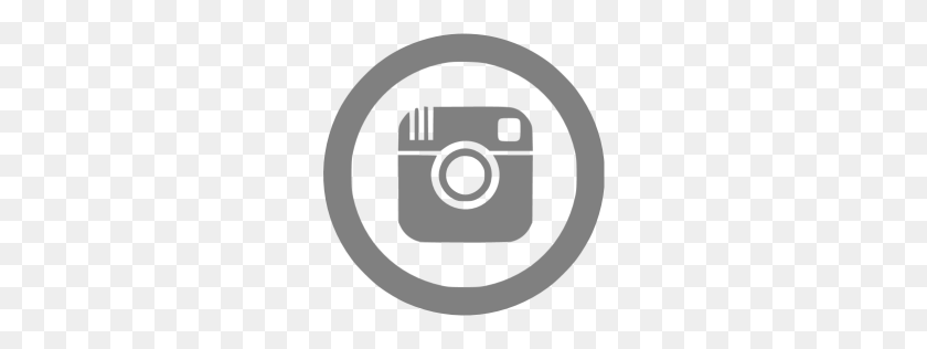 256x256 Gray Instagram Icon - White Instagram Icon PNG