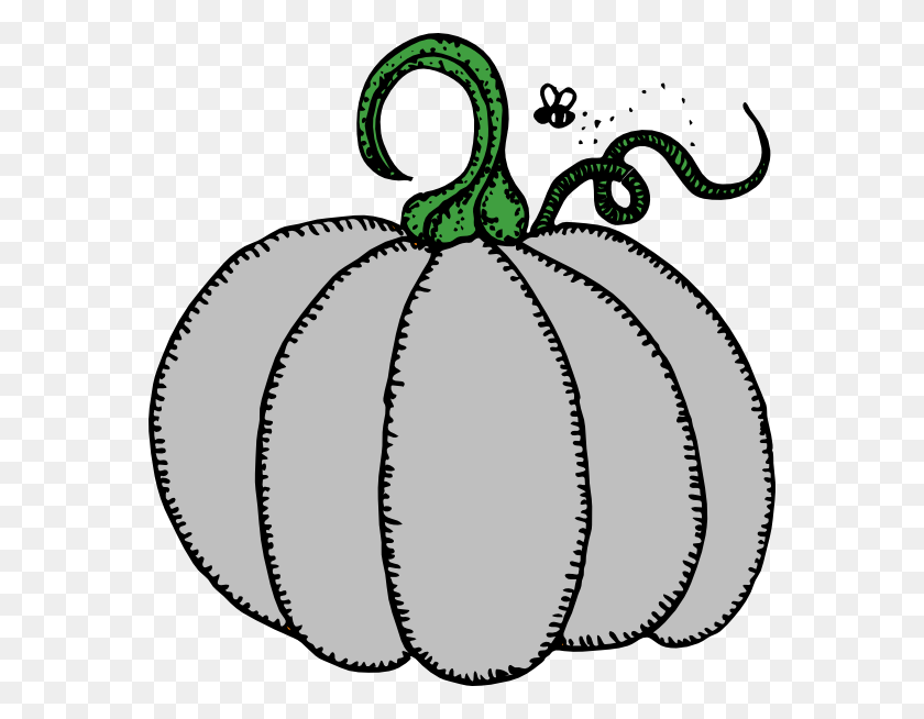 570x594 Gray Pumpkin Clipart Png For Web - Small Pumpkin Clip Art