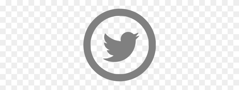 256x256 Серый Значок Твиттера - Значок Твиттера Png Белый
