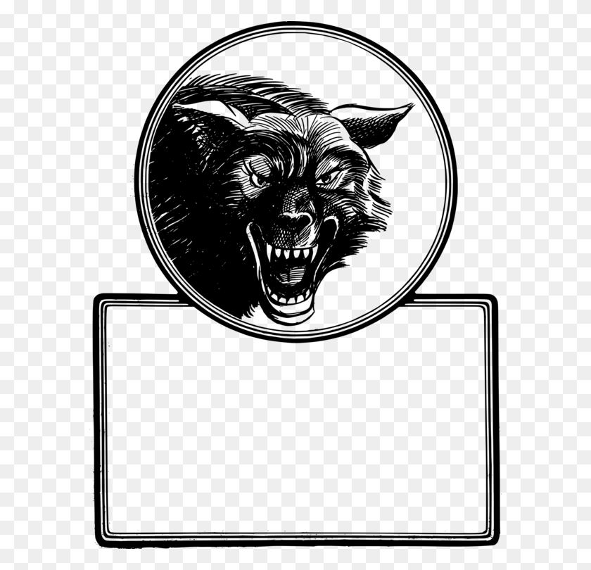 586x750 Серый Волк Голова Койота Изобразительное Искусство Черный И Белый - Голова Волка Png