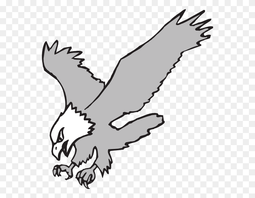 564x595 Grayscale Hunting Eagle Clip Arts Download - Eagle Clipart PNG