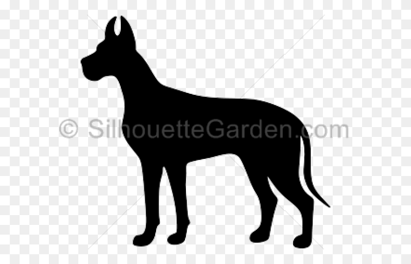 640x480 Great Dane Clipart Fawn Female - Poison Dart Frog Clipart