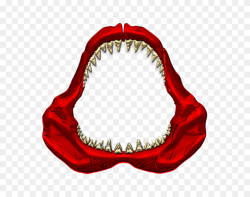 600x600 Great White Shark - Gold Teeth PNG