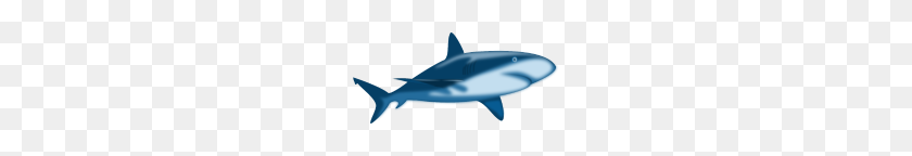 190x84 Great White Shark - Great White Shark PNG